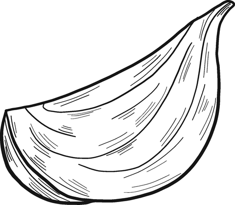 Chopped Onion Coloring Page